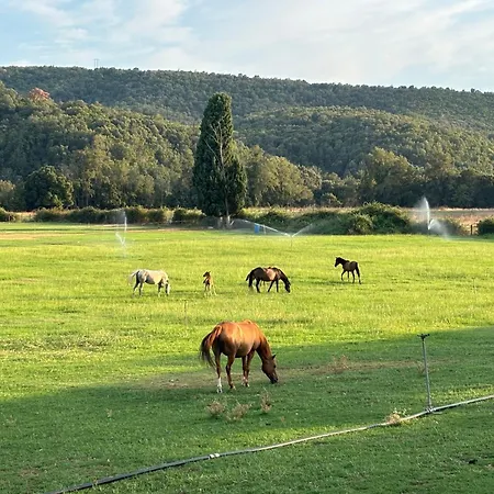 Apartamento à La Ferme Proche *